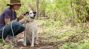 Zero Waste Petcare & Sustainability - Let's Put an End to Plastics for Pets