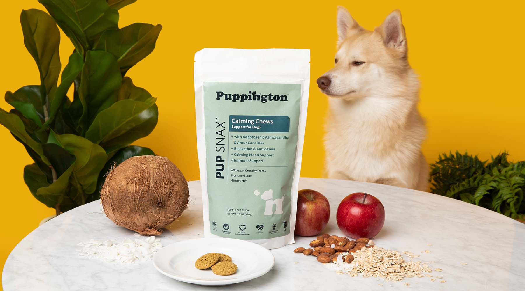 Hip & Joint Supplements for Dogs