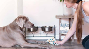 Why All Dog Parents Need Swedish Dishcloths