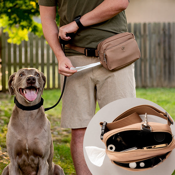 Dog Treat Pouches Decoded: The Modern Dog Parenting Secret Weapon