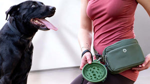 Dog Treat Pouches Decoded: The Modern Dog Parenting Secret Weapon