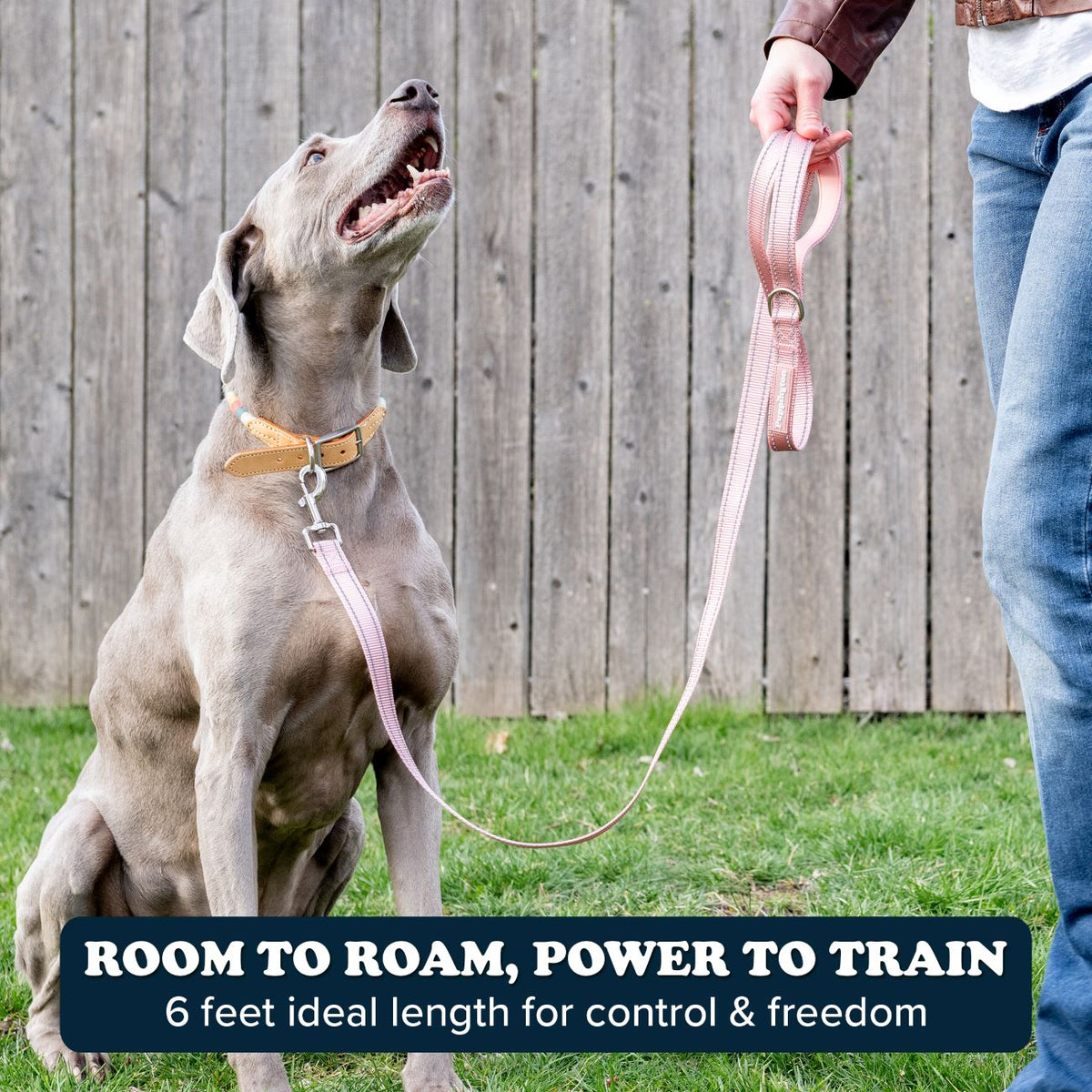 Puppington Reflecterende Lijn