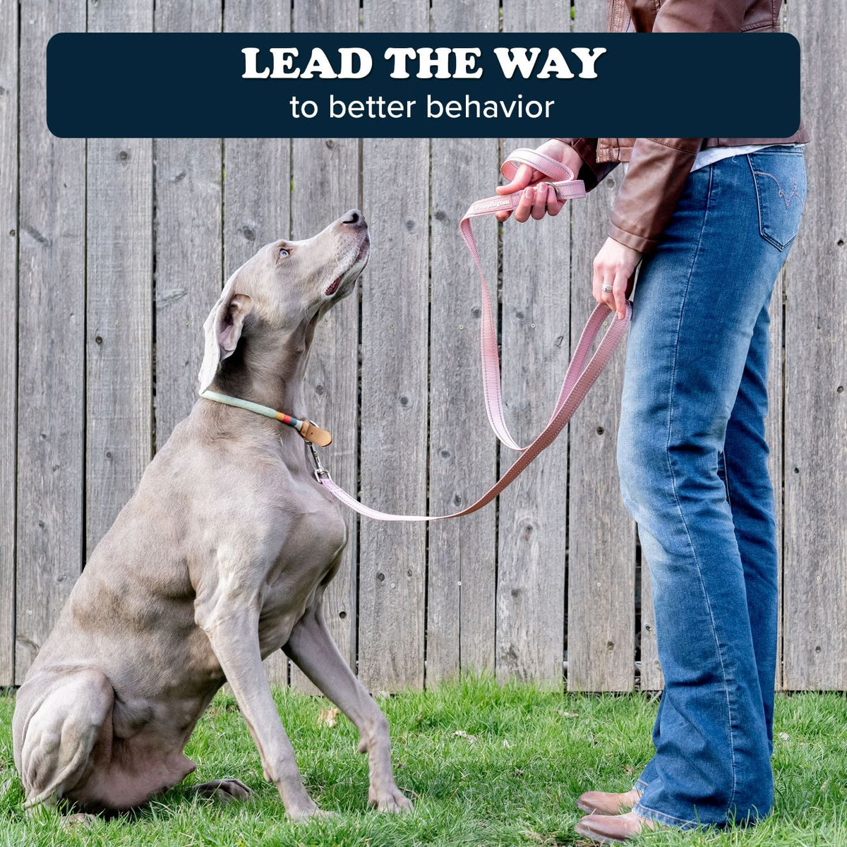 Puppington Reflecterende Lijn