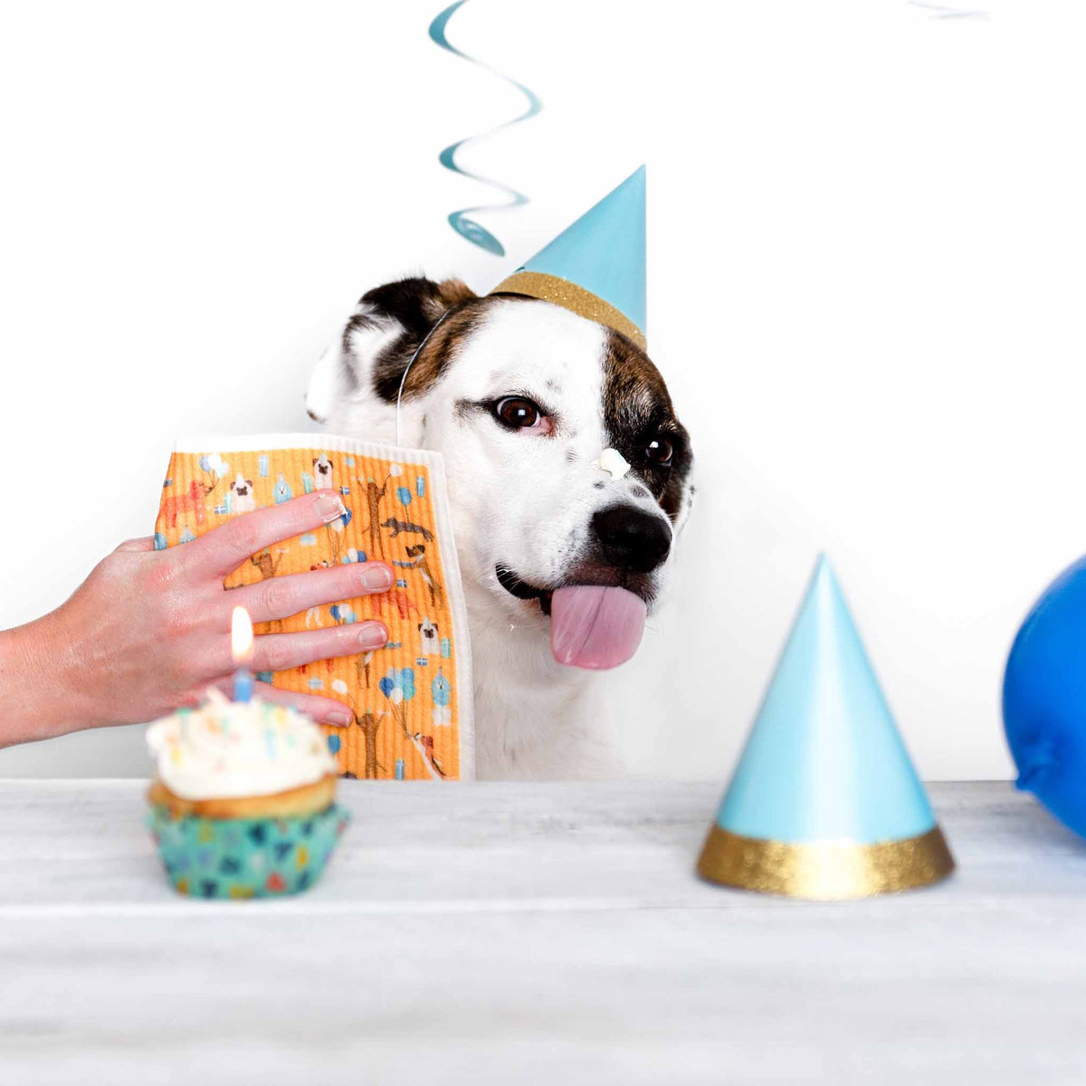 Puppington Pupper Towels Swedish Dishcloths Doggie Dozen Year-Round Holiday Prints 12-Pack