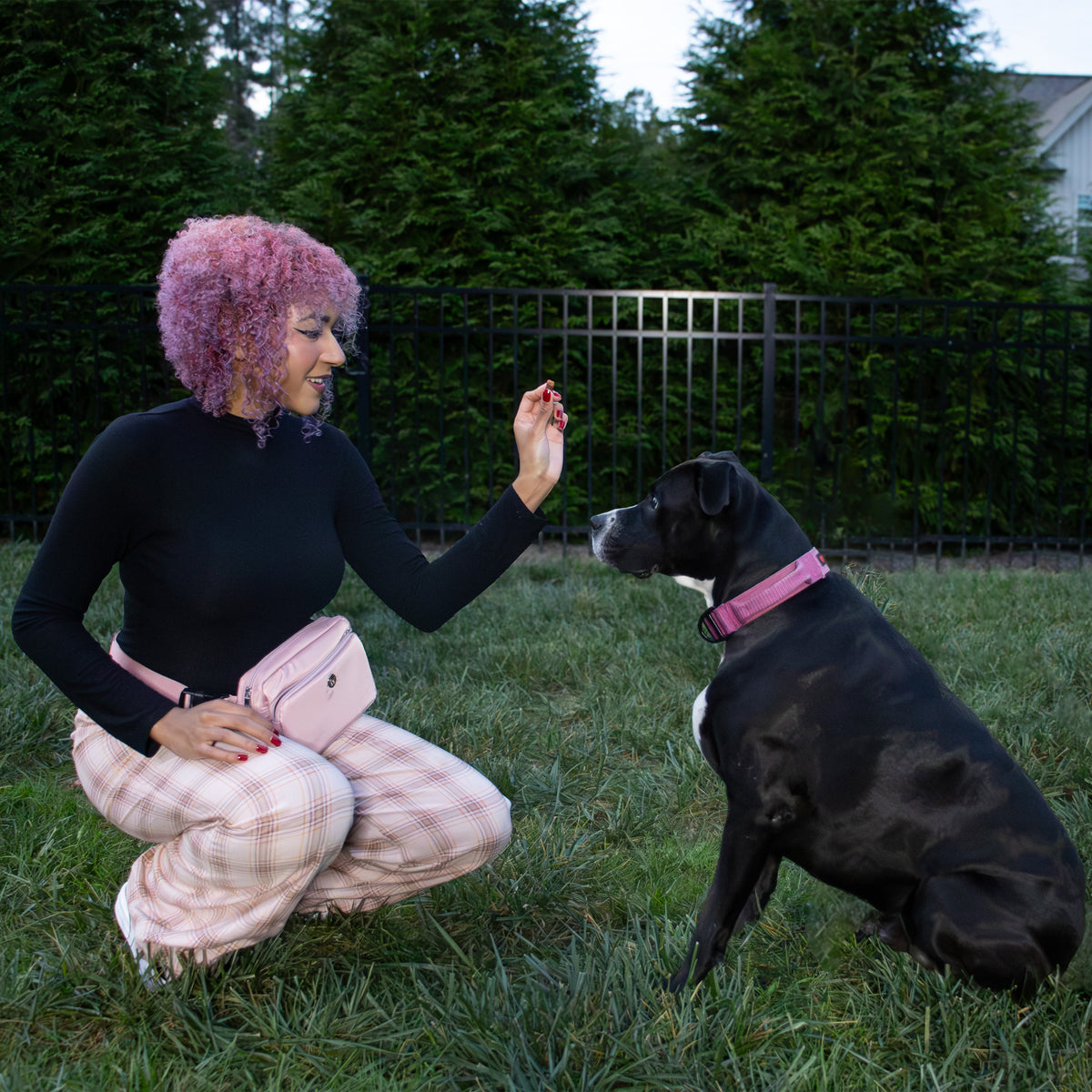 Puppington 3-in-1 Crossbody Dog Treat Pouch with Matching Poop Bags