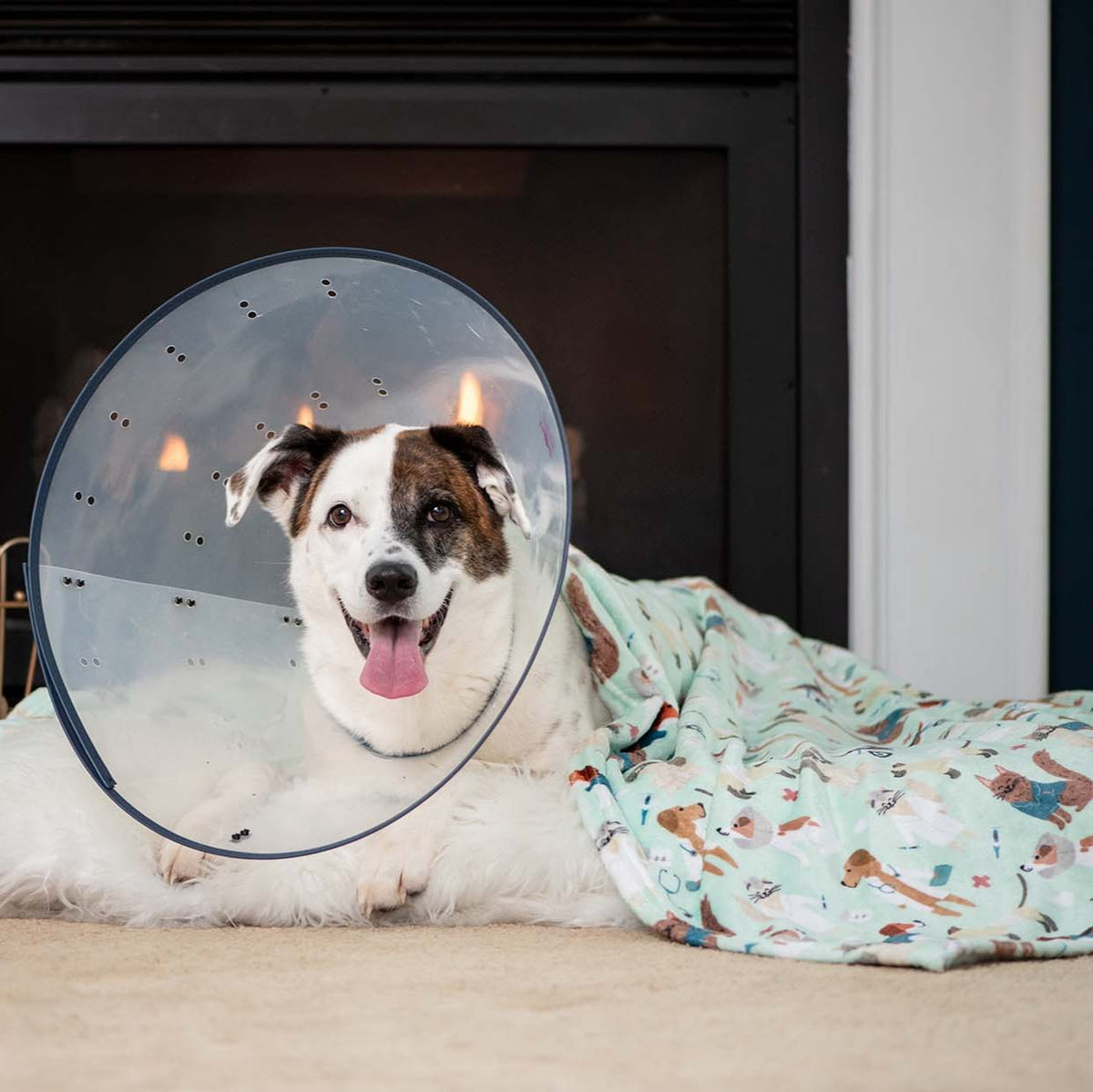 Pupper Snuggles Ultra Plush Comfort Throw Blanket