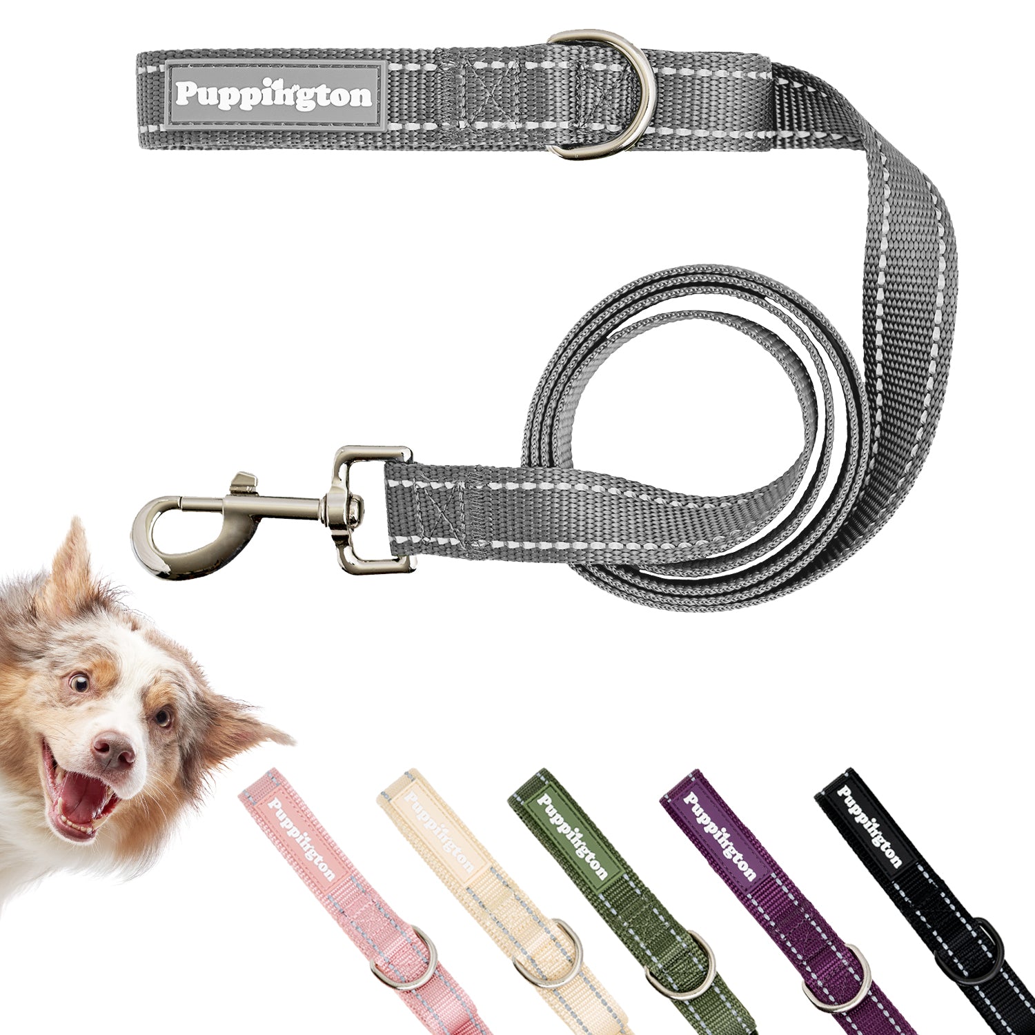 Puppington Reflective Leash