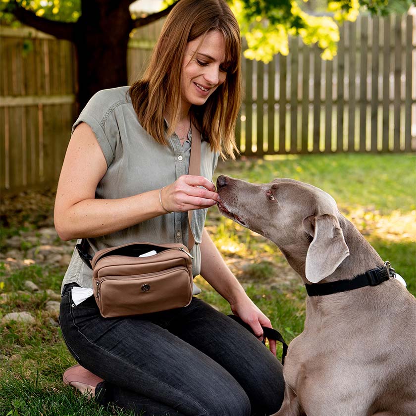 Puppington Bag In Use