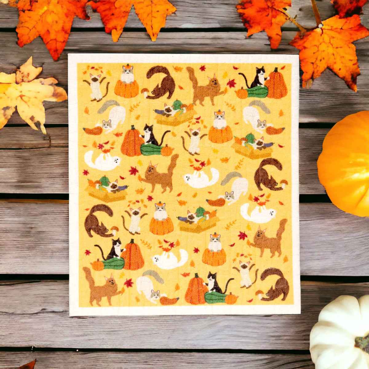 cats autumn leaves