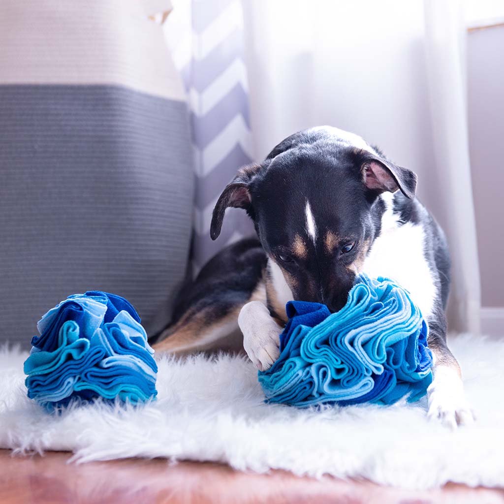 Pupper Snuffle Ball Lifestyle Shot