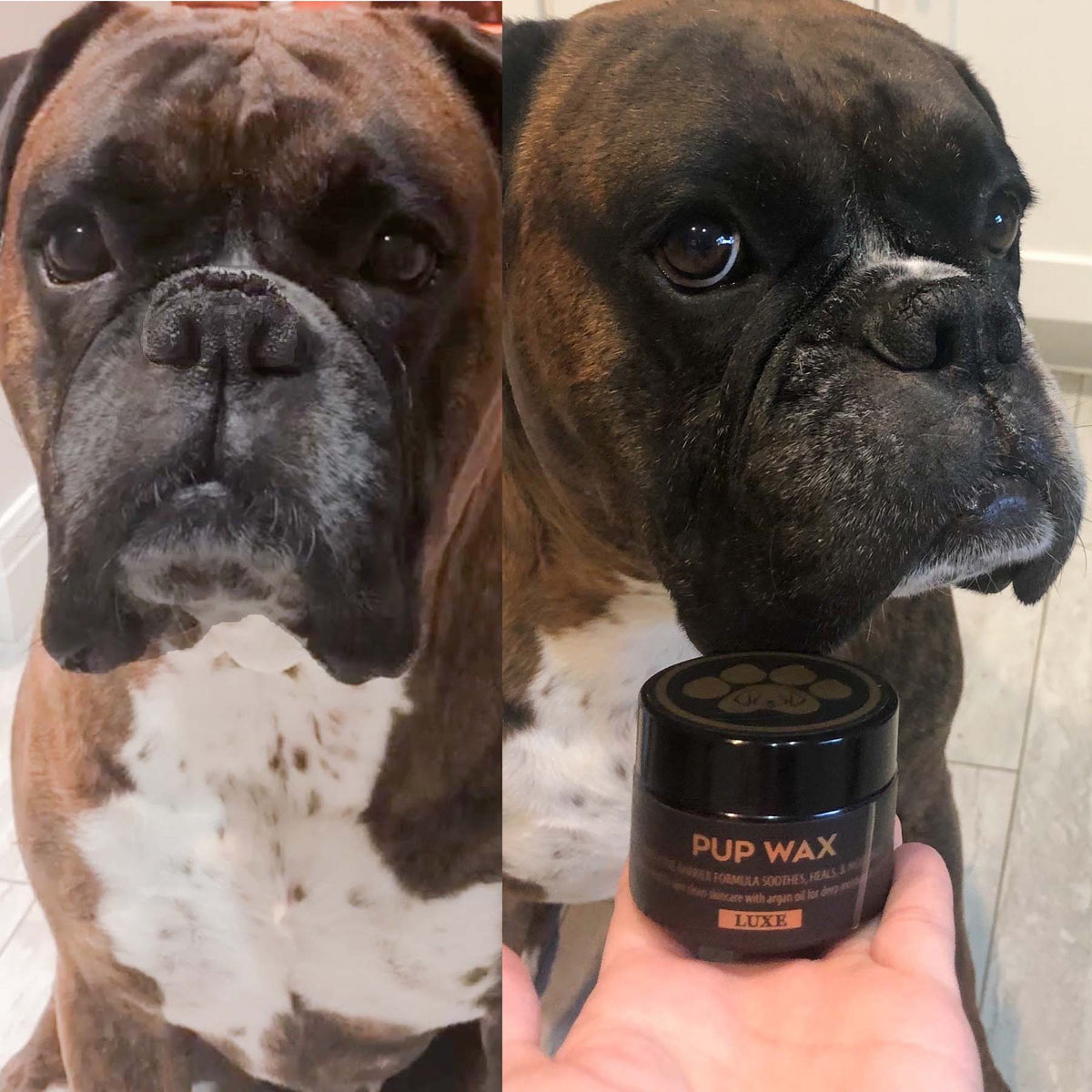 Puppington Limited Edition 7-Day Magic Stick™ Dog Nose Balm and Paw Balm | Pup Stick™ by Pup Wax®