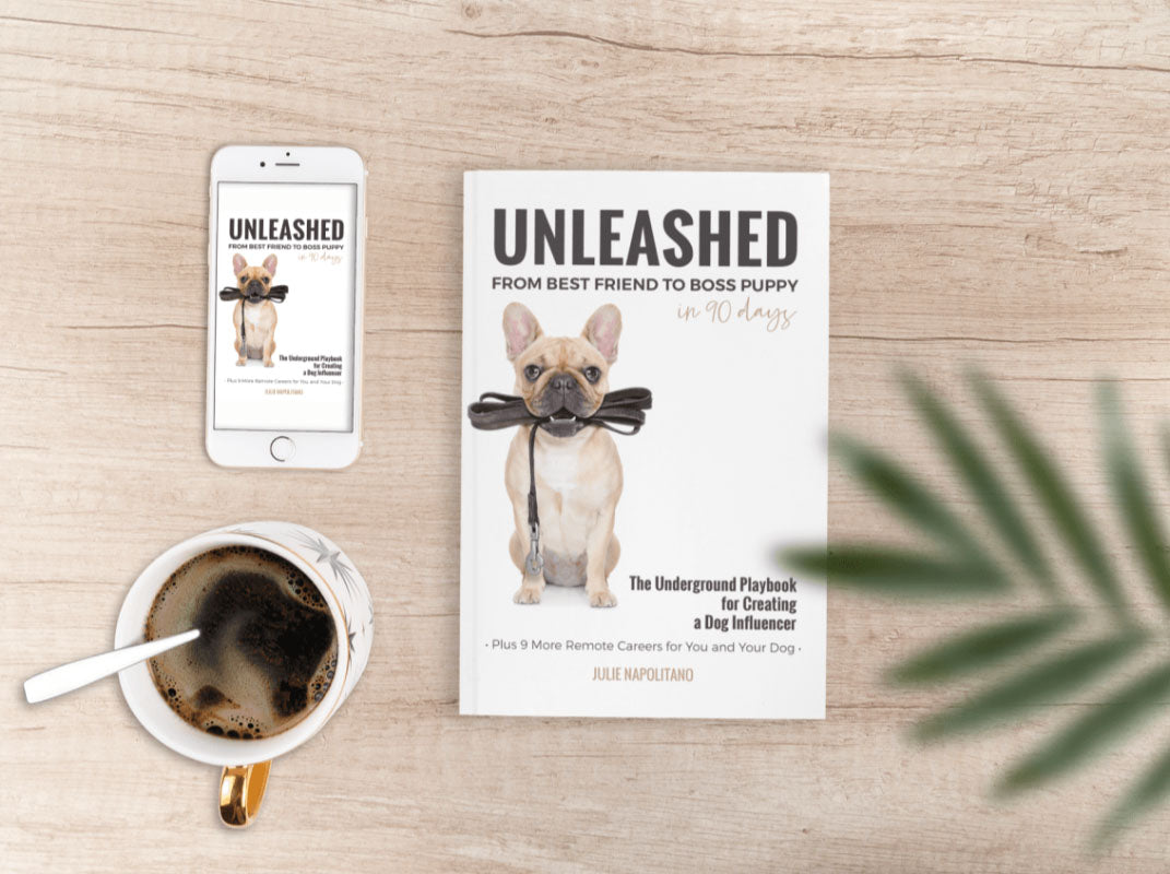 Ontketend... van beste vriend tot baasje in 90 dagen