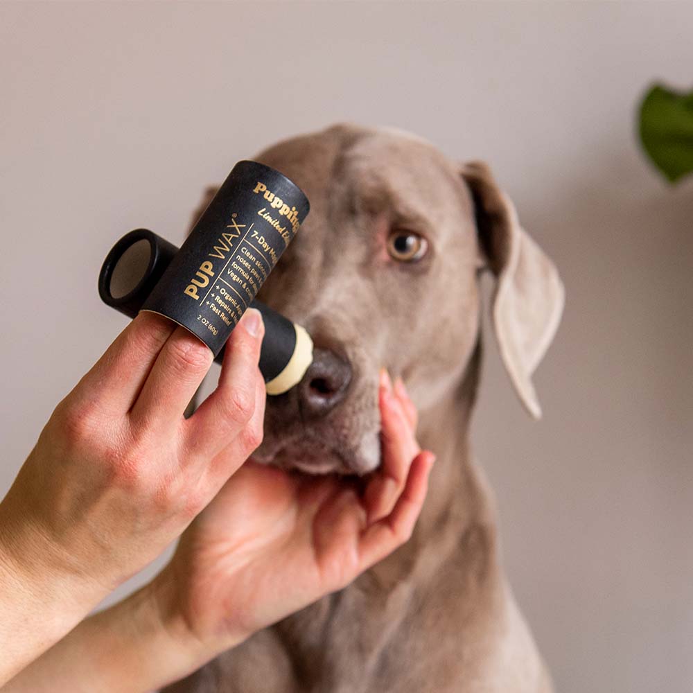 Reelax Restore Pet Paw Balm