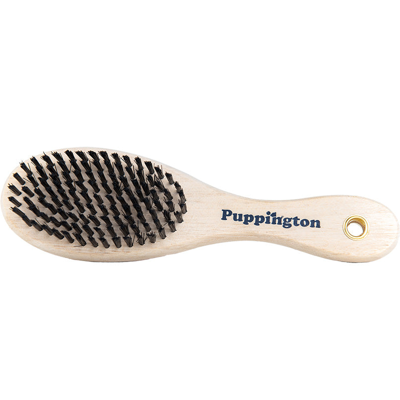 Boar bristle clearance brush dog grooming