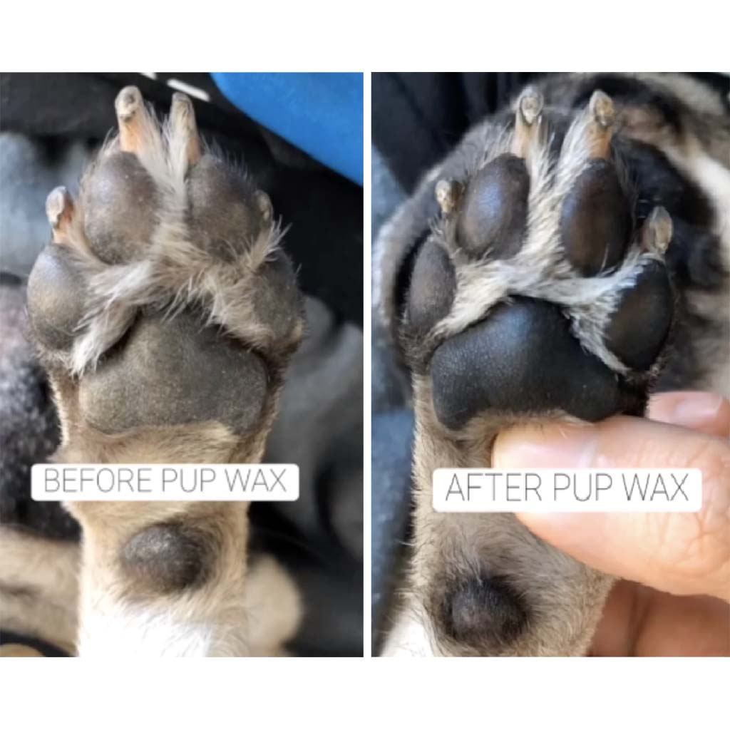 Paws after and before pup wax