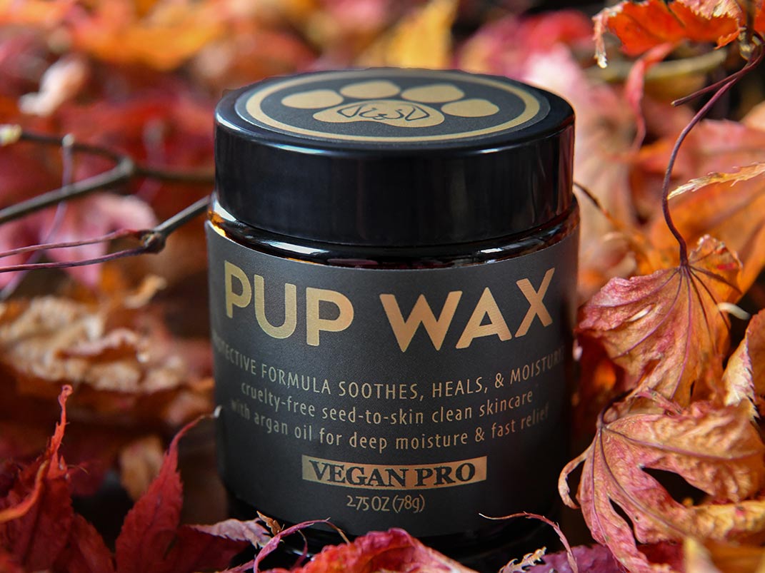 Vegan Pro Dog  Paw Balm