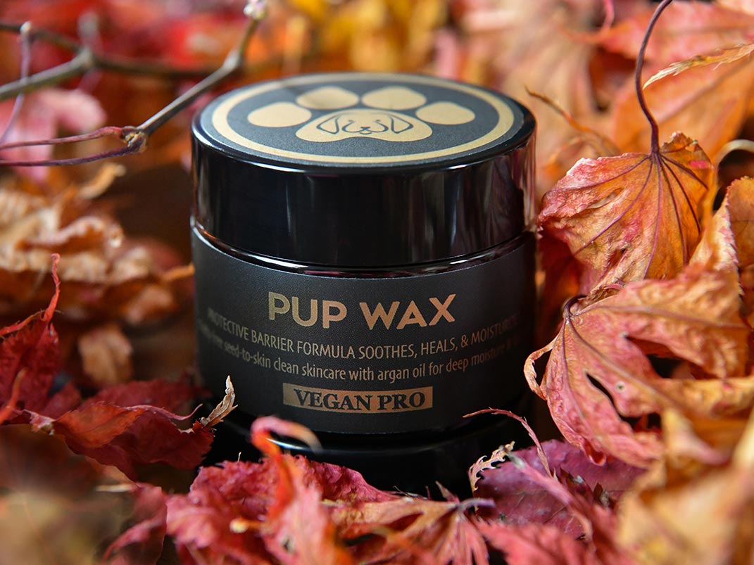 Vegan Pro Dog Nose Balm and Paw Balm