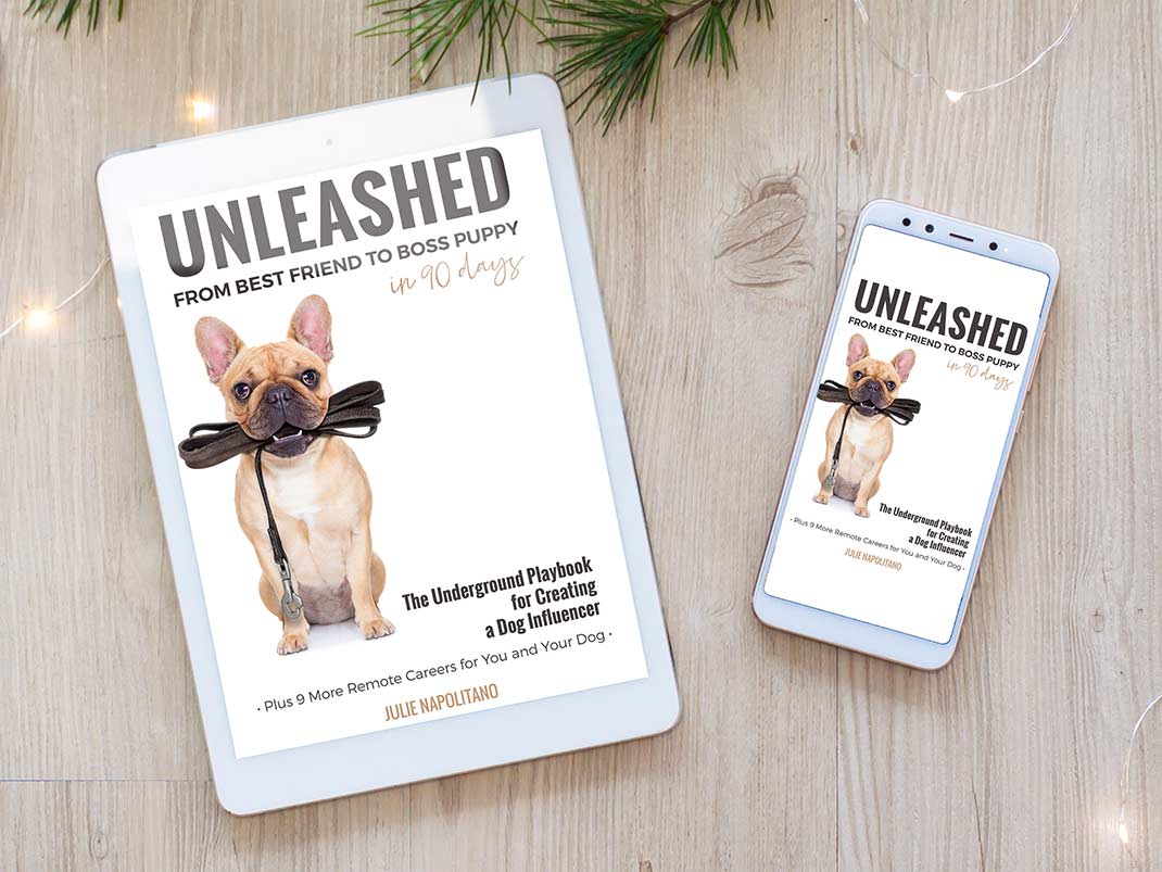 Best Friend to Boss Puppy in 90 Days