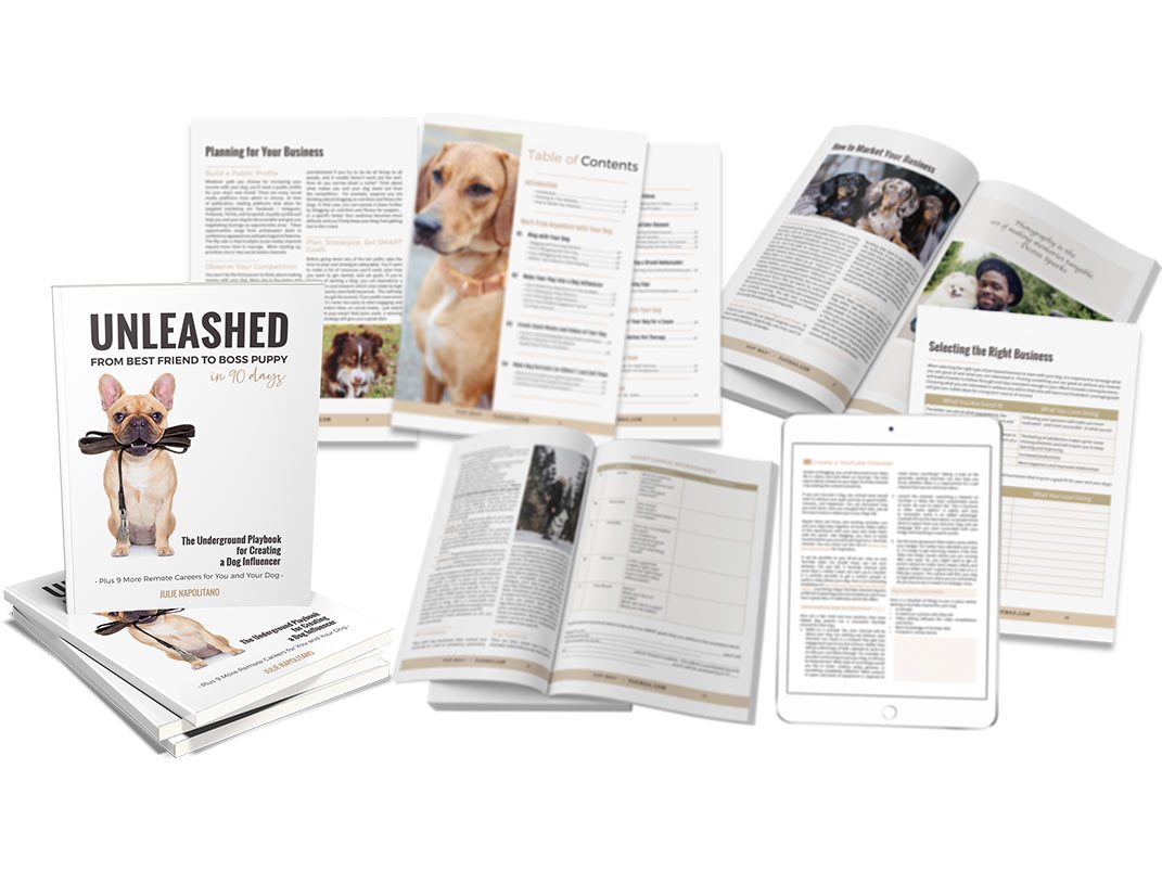 Boss Puppy in 90 Days